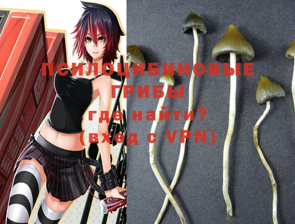 мяу мяу мука Магадан