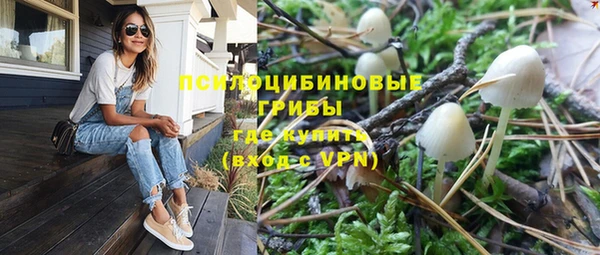 спиды Лабытнанги