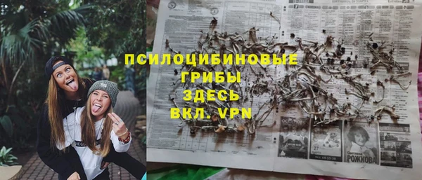 гидра Ладушкин
