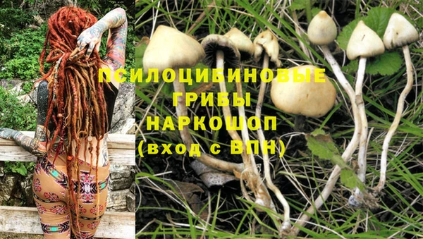 спиды Лабытнанги