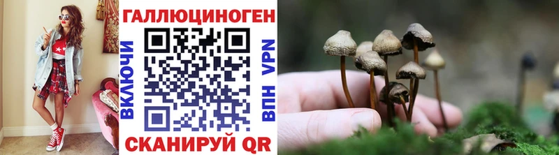 Галлюциногенные грибы Psilocybine cubensis Магадан