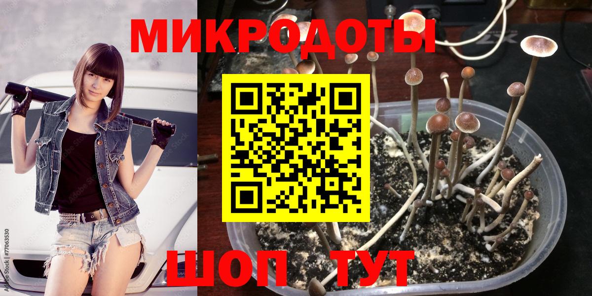 где продают   Галлюциногенные грибы Psilocybine cubensis  Вход с VPN  Магадан 