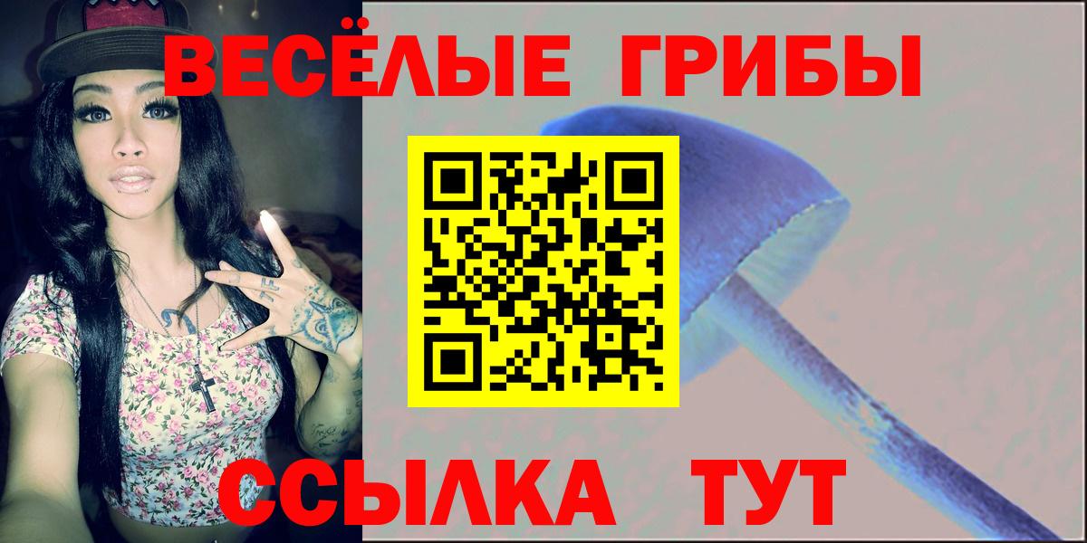 Галлюциногенные грибы мухоморы Магадан