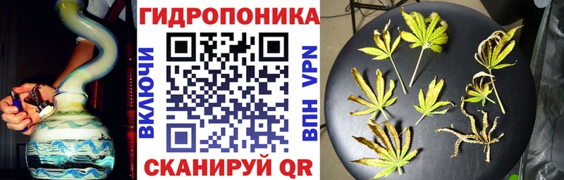 закладки  Магадан  Марихуана гибрид 